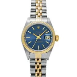 69173 BLUE CASE