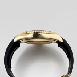 GOLD OYSTERFLEX 2023
