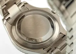 WATCH PLATINUM