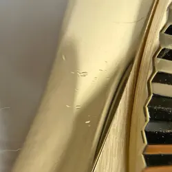 AUTOMATIC MEN'S #BS014