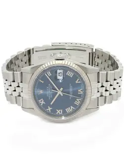 16234 BLUE CASE