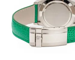 116519 BEACH GREEN