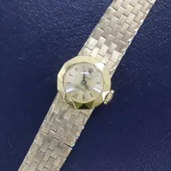 WATCH CHAMELEON