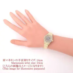 BEZEL LUG