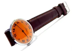 CASE STAINLESS STEEL
