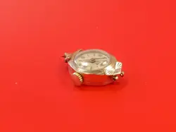 CASED TUDOR