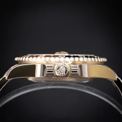 GMT-MASTER II “ROOT