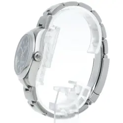 PERPETUAL 31 WATCH