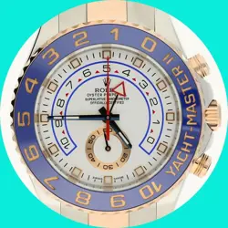 18K ROSE GOLD+SS