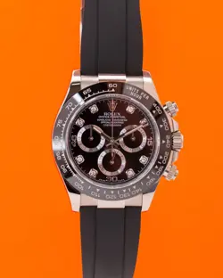 OYSTERFLEX 202
