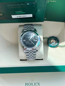 GRAY GREEN ROMAN