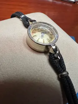GOLD CASE 17