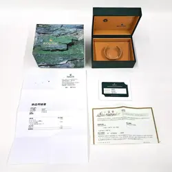 16610LV AUTOMATIC SS