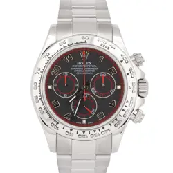 OYSTER WATCH 116509