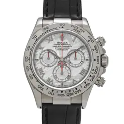 DAYTONA METEOLITE