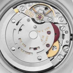 LADIES WATCH 179173