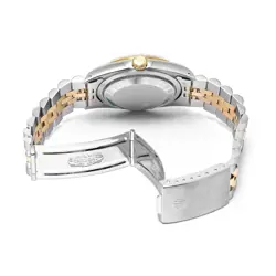 16233 CHAMPAGNE MEN'S