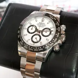 PANDA 116500LN