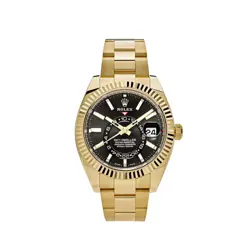 SKY-DWELLER 336938