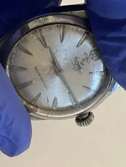 BIG ROSE DIAL