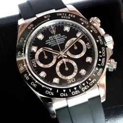 116519LN LNIB