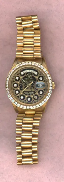 PERPETUAL~WATCH