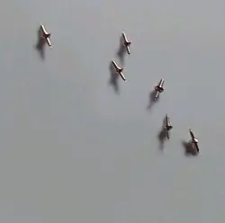 65 10