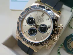 DAYTONA OYSTERFLEX