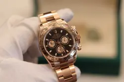 116505 PINK OYSTER