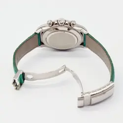 116519 BEACH GREEN