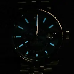 STAINLESS STEEL MINT