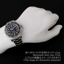 ROLEX Deep Sea D-BLUE SEA-DWELLER label available 136660 Blue Random Number ...