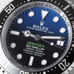 ROLEX Deep Sea D-BLUE SEA-DWELLER label available 136660 Blue Random Number ...
