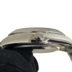 WATCH #31225