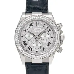 116589RBR 2004-2005 DIAMOND