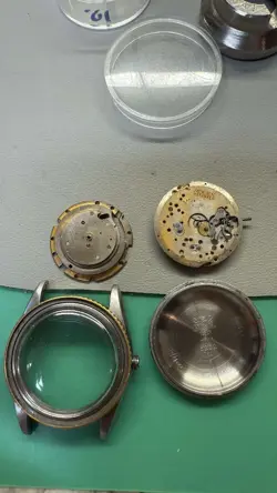 6202 CASE/BACK/MOVEMENT