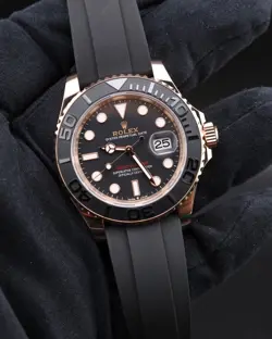 126655 OYSTERFLEX 2023