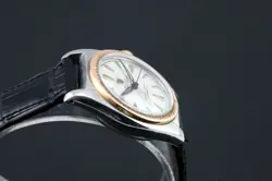 GOLD BUBBLEBACK