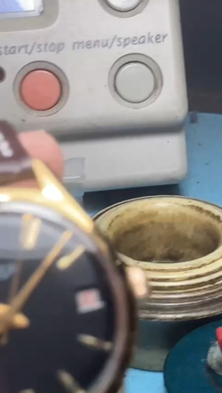 GOLD CAPPED BLACK