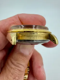 15505 GOLD SHELL