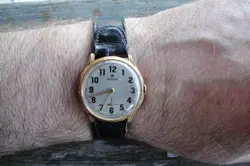 SOLID GOLD CASE30MM