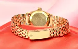 LADY-DATEJUST WATCH IN