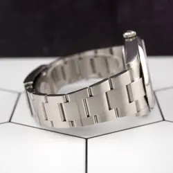 PERPETUAL STEEL WATCH