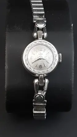 WRISTWATCH RESTORERS