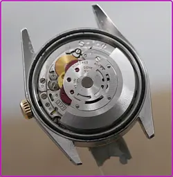SPECIAL DIAL