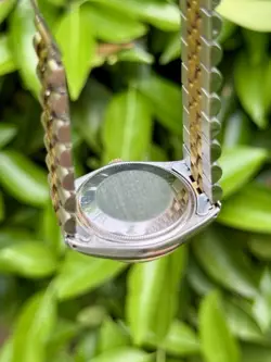 YELLOW GOLD/STEEL TWO