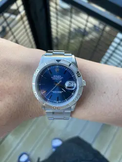 16264 SILVER OYSTER