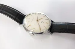 CASED TUDOR