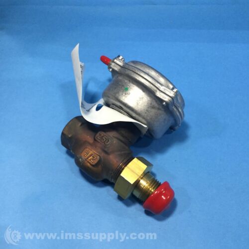 Siemens 257-02042 Pneumatic-Actuated Control Valve FNIP