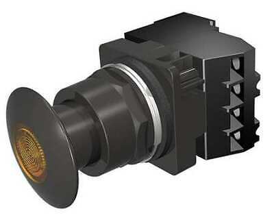 SIEMENS 52BP2G9A Illuminated Push Button,30mm,1NO/1NC